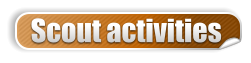 Scout activities